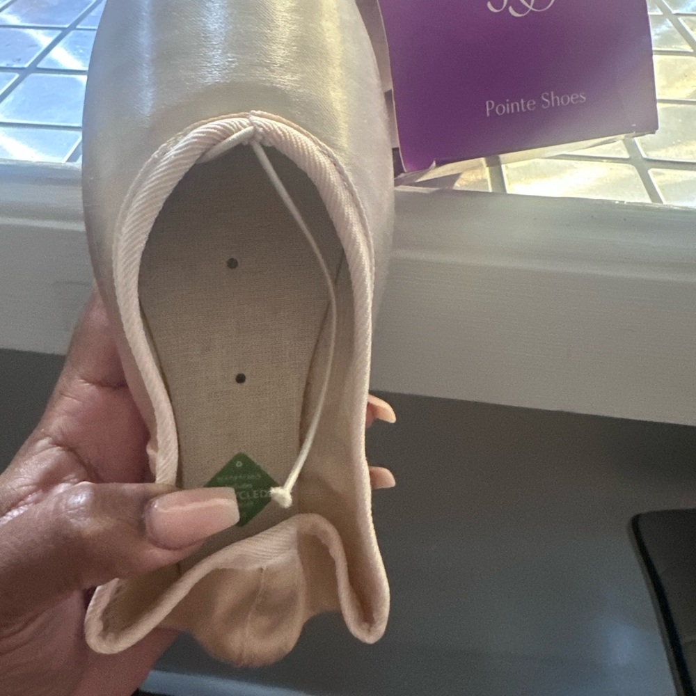 Elegant Pink Pointe Shoes